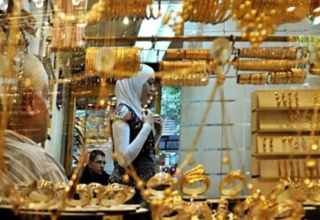 wp header logo17453124081950474330