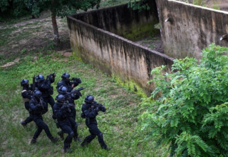 wp header logo17453448161938371338