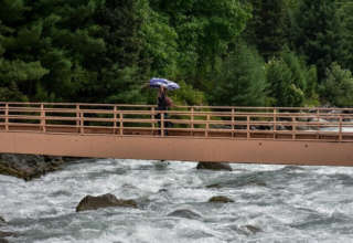 wp header logo1745344880251282261