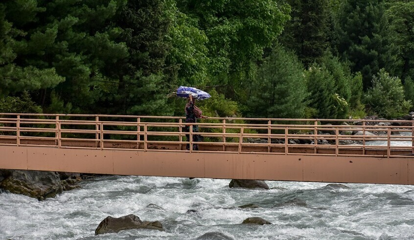 wp header logo1745344880251282261