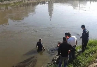 wp header logo1745481612904941833