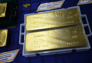 wp header logo17454816241277211350