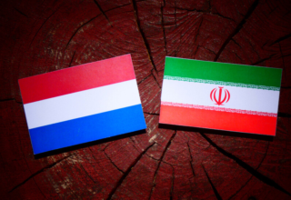 wp header logo17455968771313155030