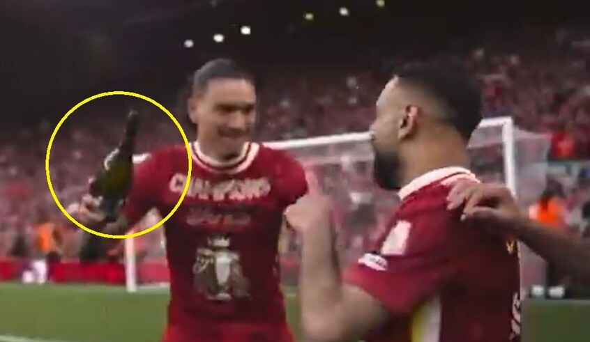 wp header logo17457840101644032760