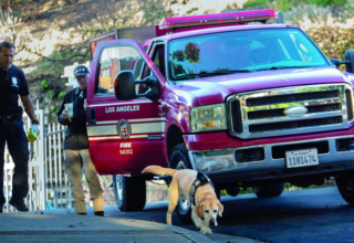 wp header logo1746061208175428458