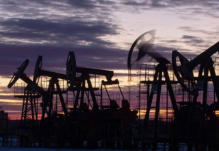 wp header logo174622321243472547