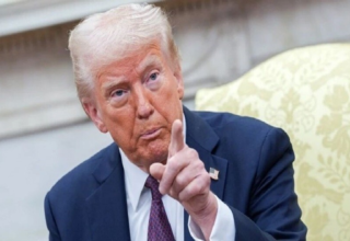 wp header logo174647521183912596