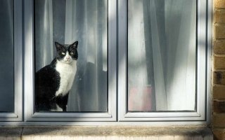 wp header logo1746806413161721833