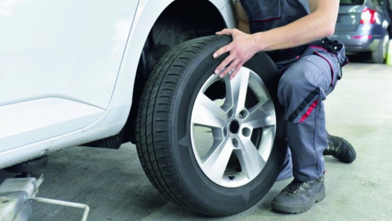 wp header logo174684601659104550