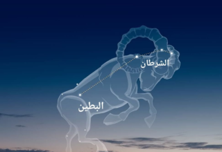 wp header logo17468892531216204240