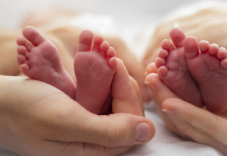 wp header logo1747054812756876990