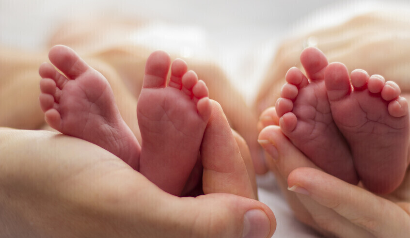 wp header logo1747054812756876990