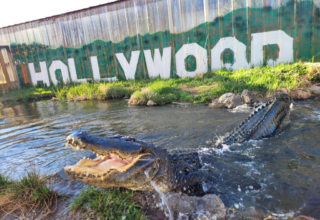 wp header logo17473176081751564391