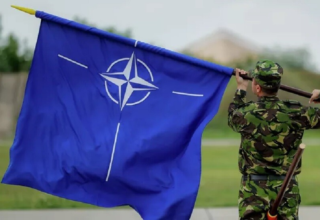 wp header logo17474292251564601766