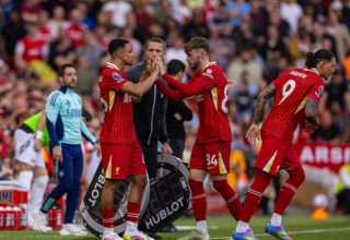 wp header logo17475157541746593671