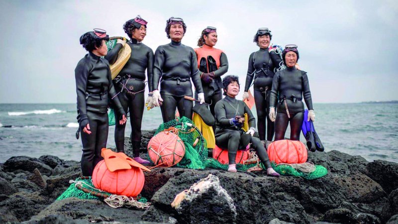 wp header logo174772802768059086