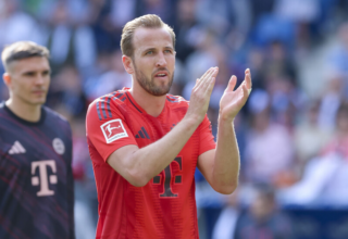 wp header logo17479080091314840695