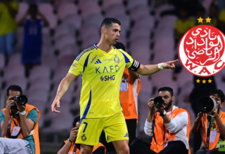 wp header logo17479476311404459518