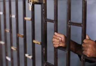 wp header logo17479944422025110898