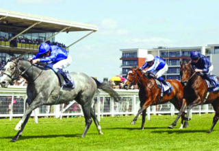 wp header logo17480485111276572915