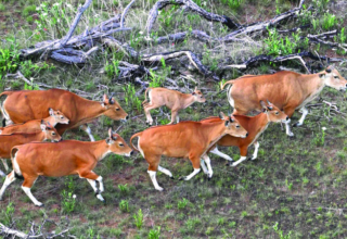 wp header logo17481348151582099848