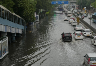 wp header logo1748160024382481662