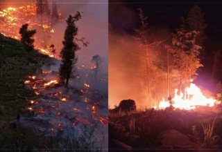 wp header logo1748174411703616022