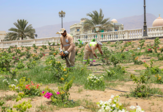 wp header logo1748250079176700353