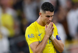 wp header logo17483041501434385919