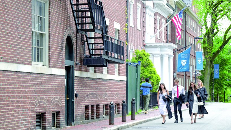 wp header logo17483940111957498555