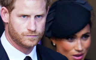 wp header logo1748872830587199991