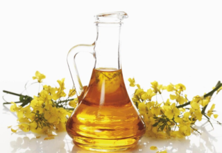 wp header logo17489988141273388712