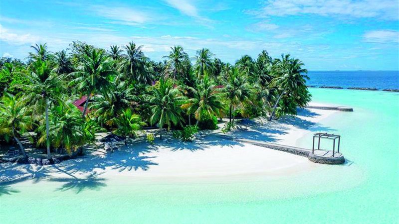 wp header logo17490960311044050542