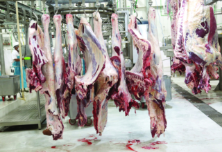 wp header logo1749160851710309597