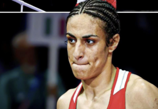 wp header logo17492976131420447115