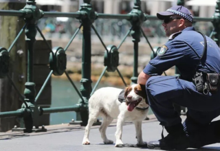 wp header logo1749639688351406202