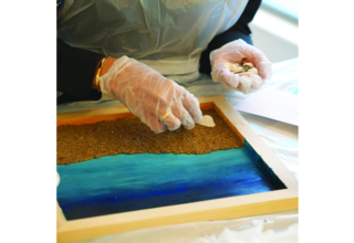 wp header logo1749862832837021888