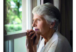 wp header logo1749960023260681377