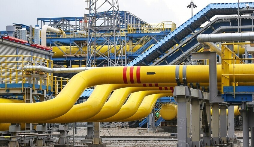 wp header logo17501688281831644942