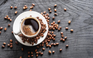 wp header logo17502228811545250751