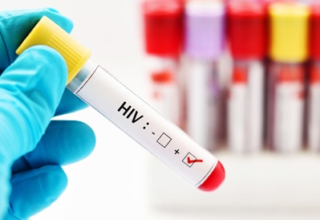 wp header logo17503344151439103940