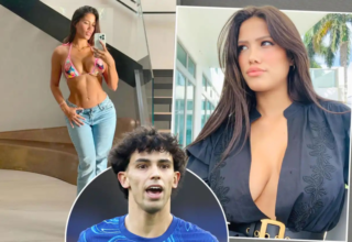 wp header logo17504497281599387830