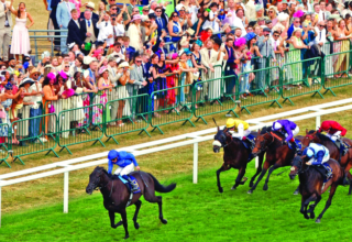 wp header logo17505468102043160469