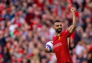 wp header logo17509284111811461551