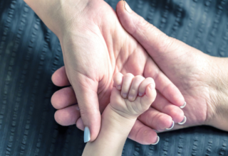 wp header logo17511444351873892415