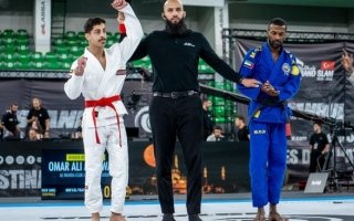 wp header logo175123808841612641