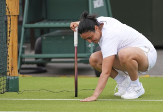 wp header logo17513100661544144007