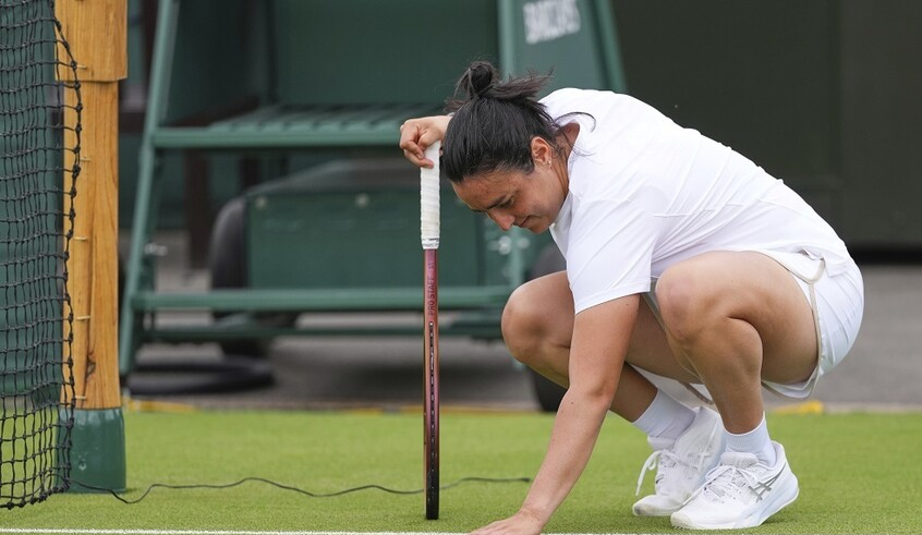 wp header logo17513100661544144007