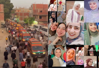 wp header logo17513244121759255590