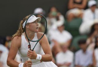 wp header logo17514180761843499250